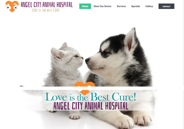 Angel City Animal Hospital